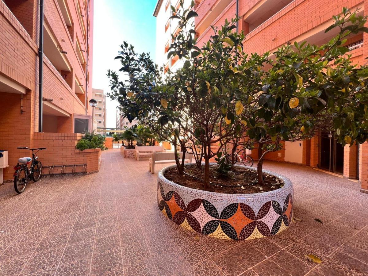 Excelente Apto. En Marina D'Or-Torre La Sal Lägenhet Cabanes  Exteriör bild